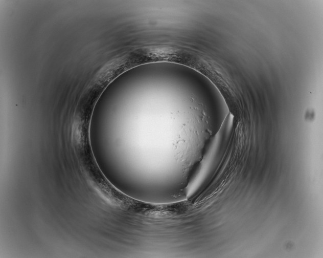 X0000099570408200805161521