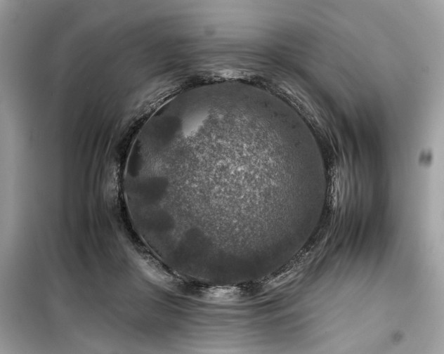 X0000099570410200805161521