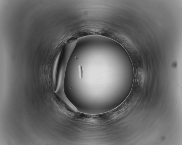 X0000099570412200805161521