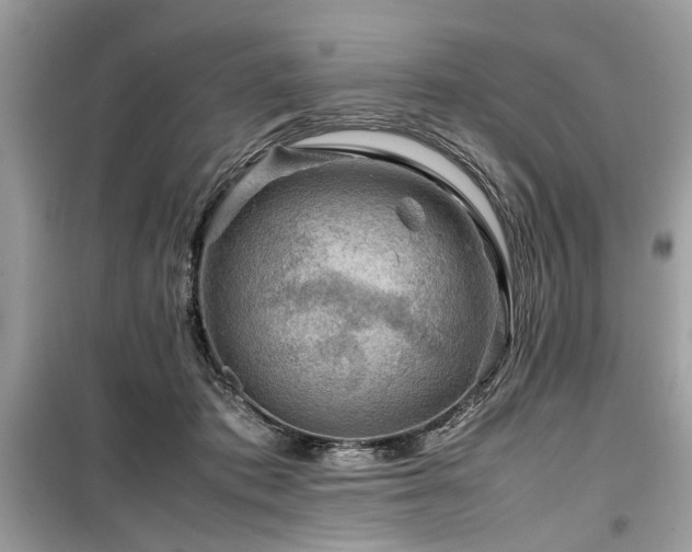 X0000099570413200805161521