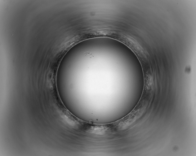 X0000099570414200805161521