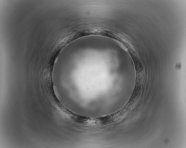 X0000099570415200805161521