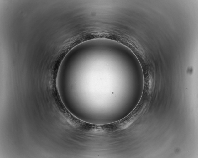 X0000099570416200805161521