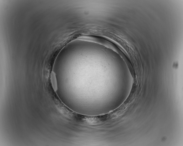 X0000099570417200805161521