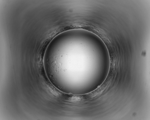 X0000099570418200805161521