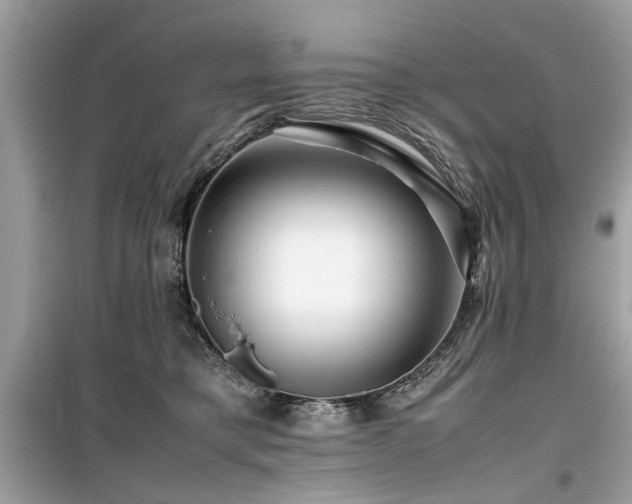 X0000099570421200805161521