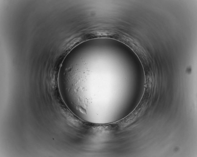 X0000099570422200805161521