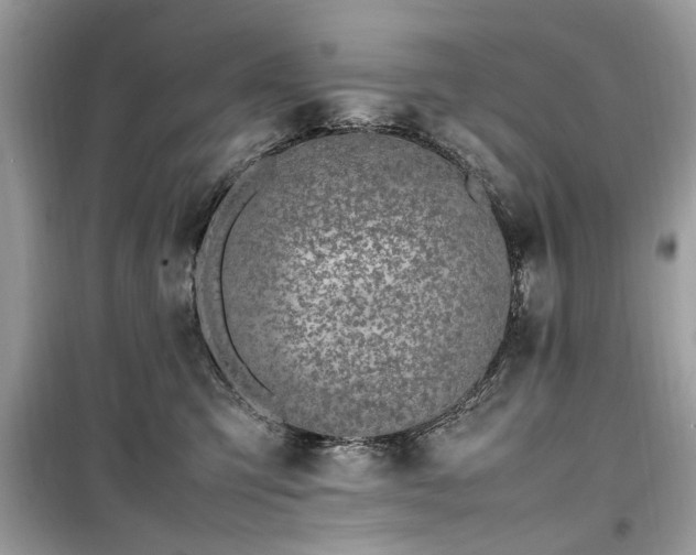 X0000099570423200805161521