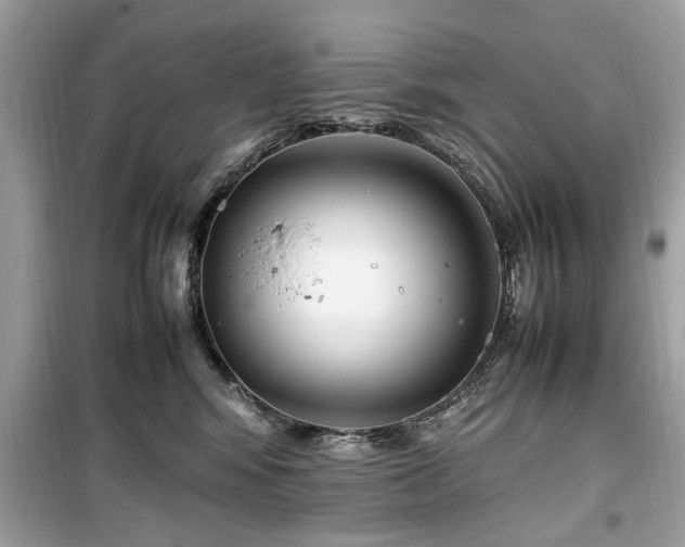 X0000099570424200805161521