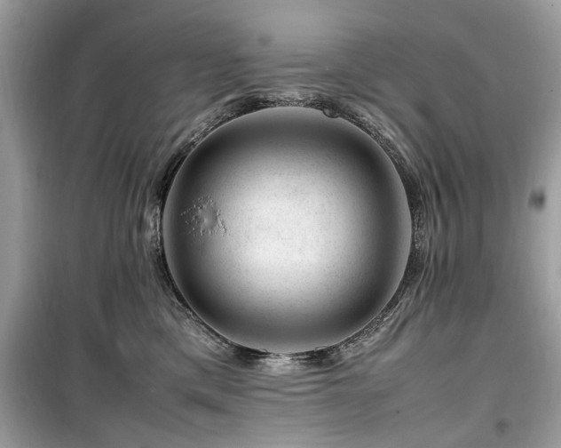 X0000099570425200805161521