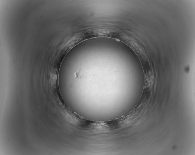 X0000099570427200805161521