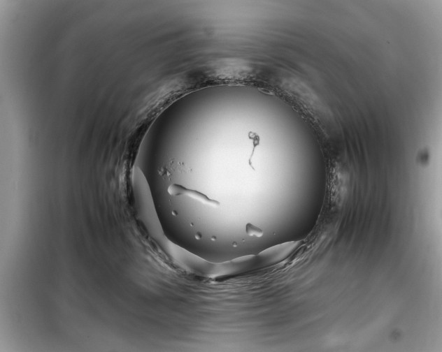 X0000099570428200805161521