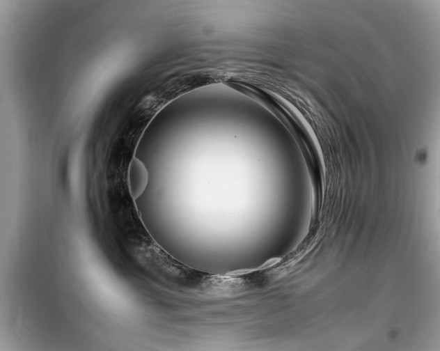 X0000099570429200805161521