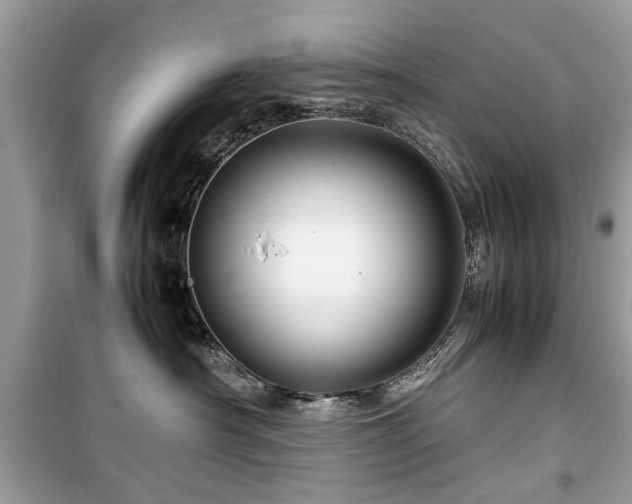 X0000099570430200805161521