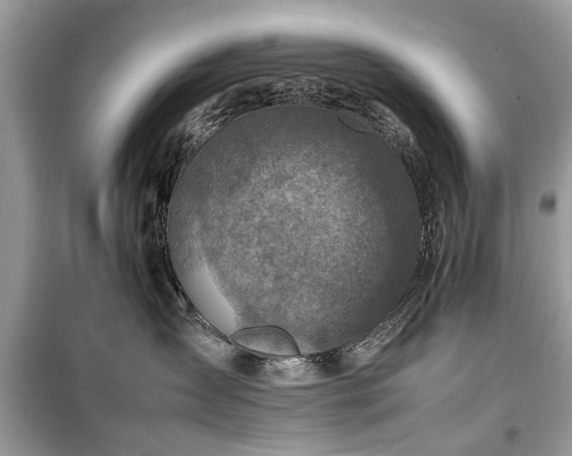 X0000099570431200805161521