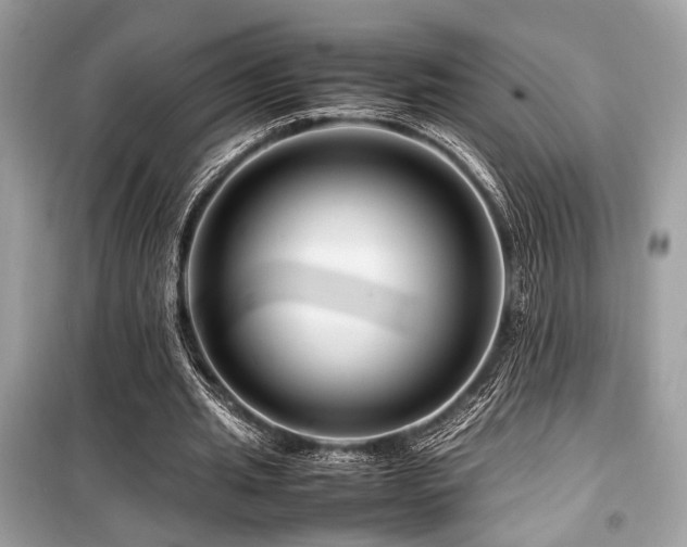 X0000099570437200805161520