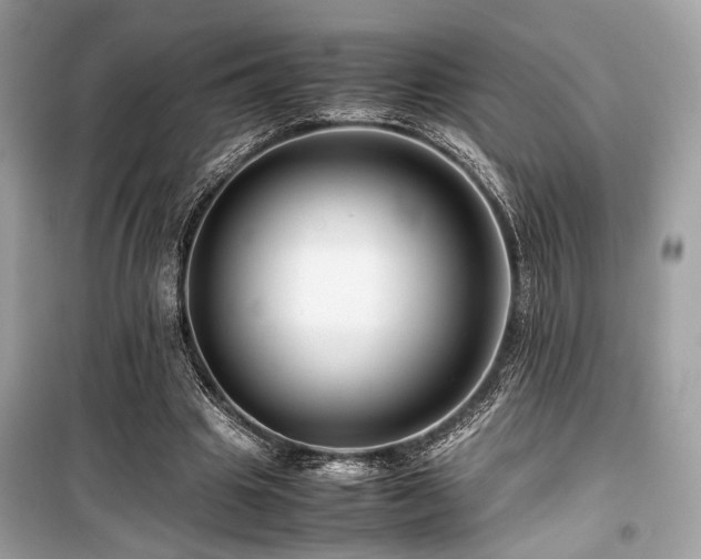 X0000099570441200805161520