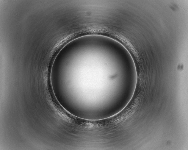 X0000099570442200805161520