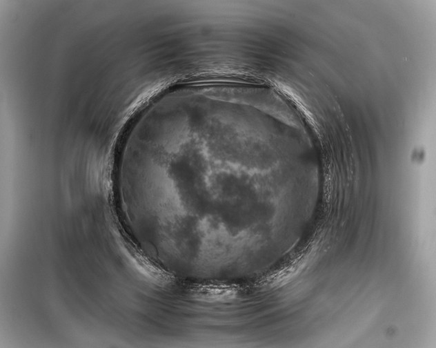 X0000099570443200805161520