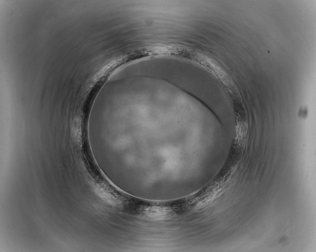 X0000099570444200805161520