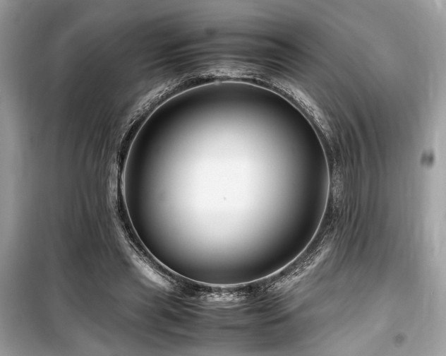 X0000099570445200805161520