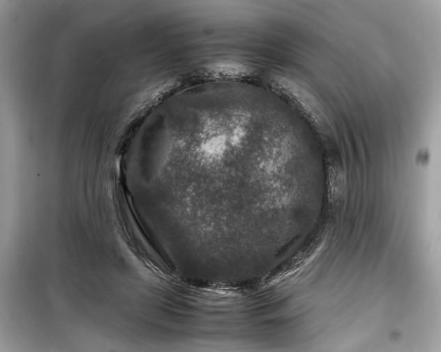 X0000099570451200805161520