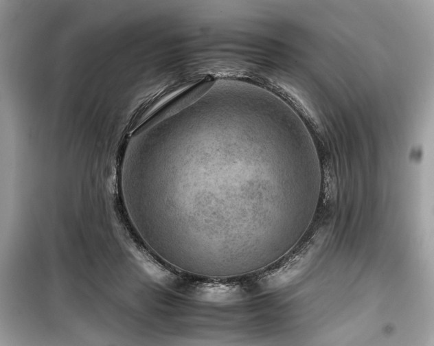 X0000099570453200805161520