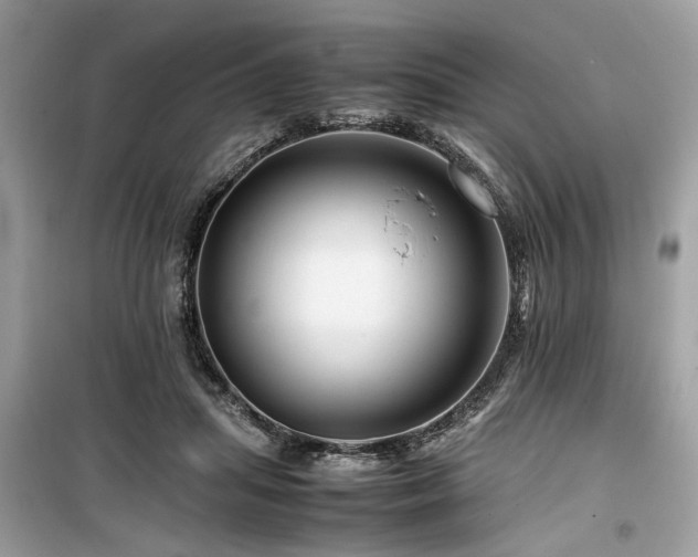 X0000099570455200805161521