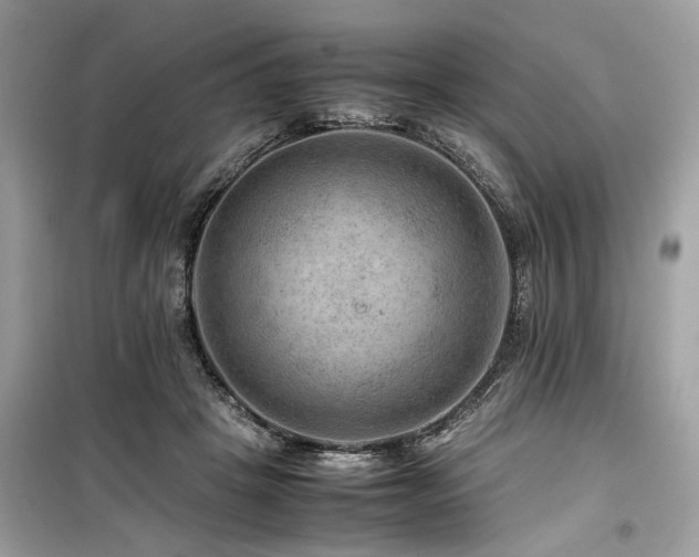 X0000099570457200805161521