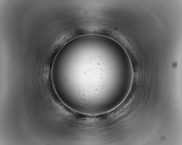 X0000099570458200805161521