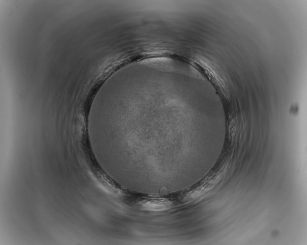 X0000099570459200805161521