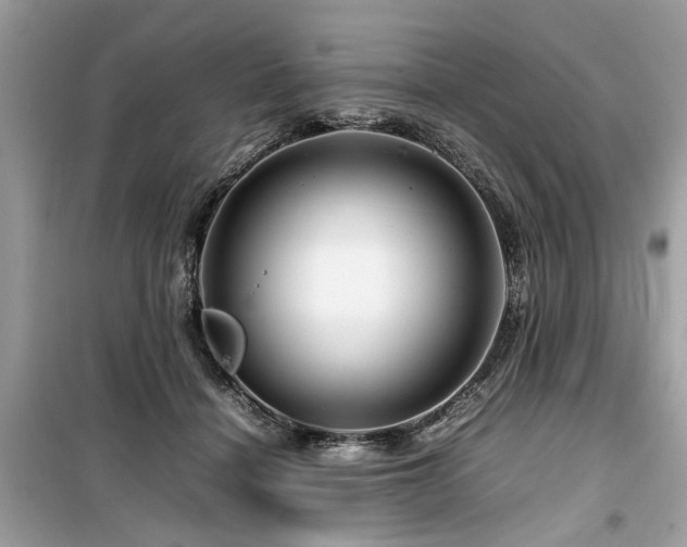 X0000099570460200805161521