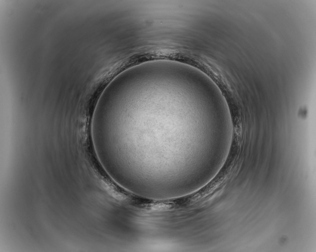 X0000099570462200805161521