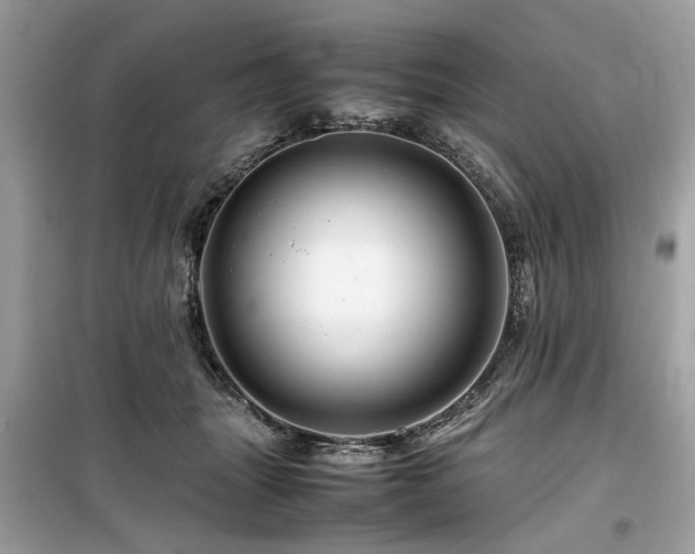 X0000099570463200805161521