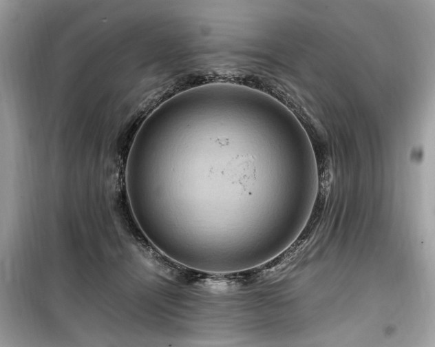 X0000099570464200805161521