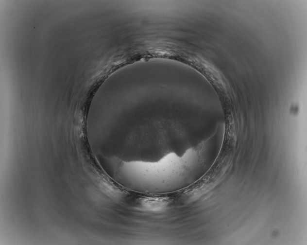 X0000099570465200805161521