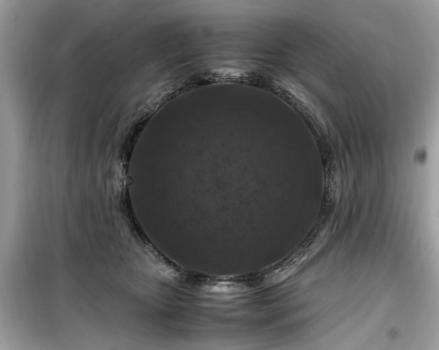 X0000099570467200805161521