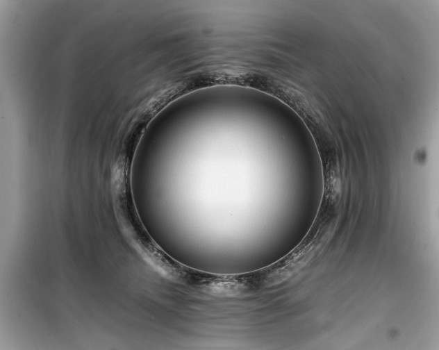 X0000099570468200805161521