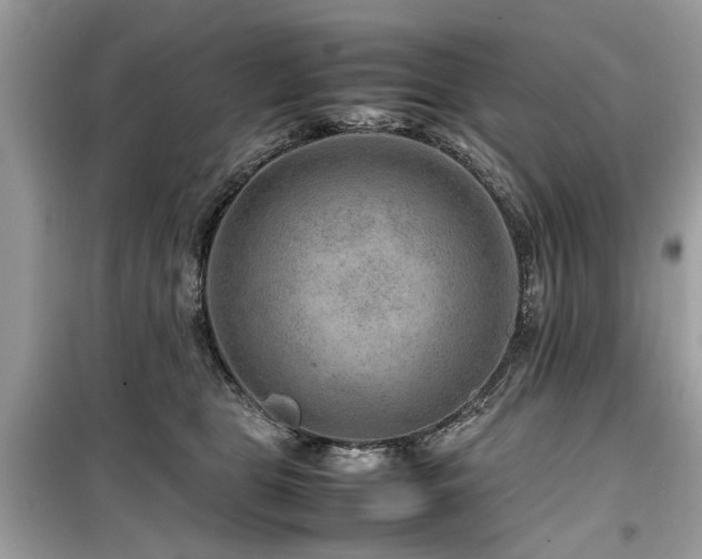 X0000099570469200805161521