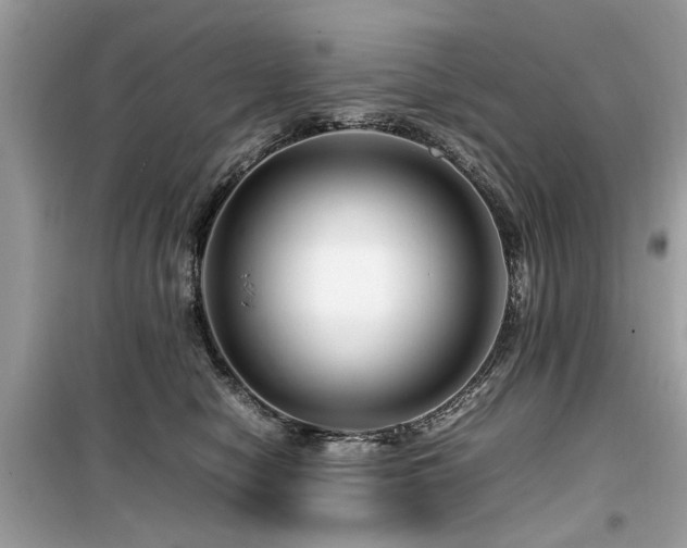 X0000099570470200805161521