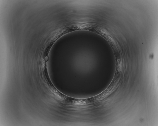 X0000099570471200805161521