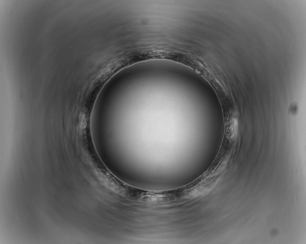 X0000099570472200805161521