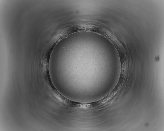 X0000099570474200805161521