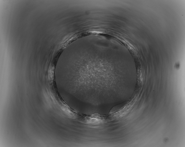 X0000099570475200805161521