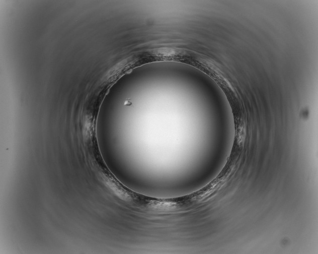 X0000099570476200805161521