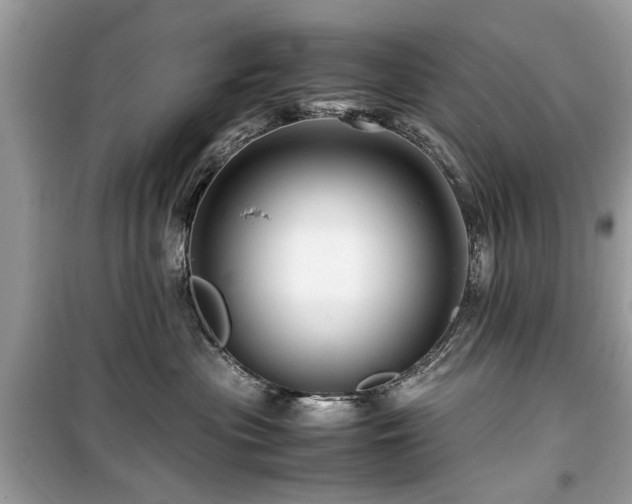 X0000099570477200805161521