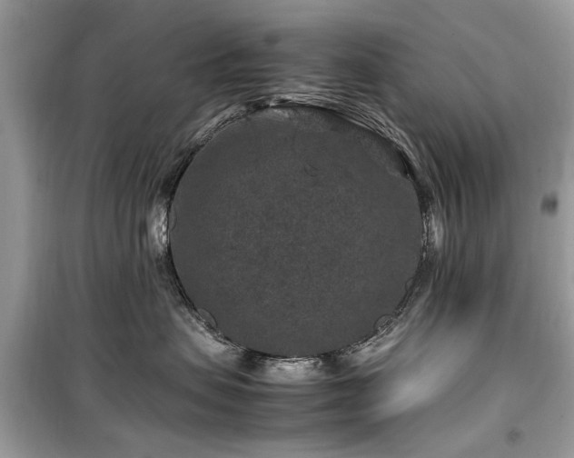 X0000099570479200805161521