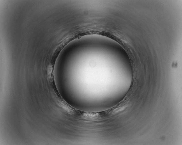 X0000099570480200805161521