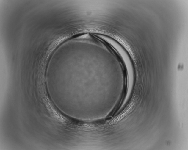 X0000099570481200805161520