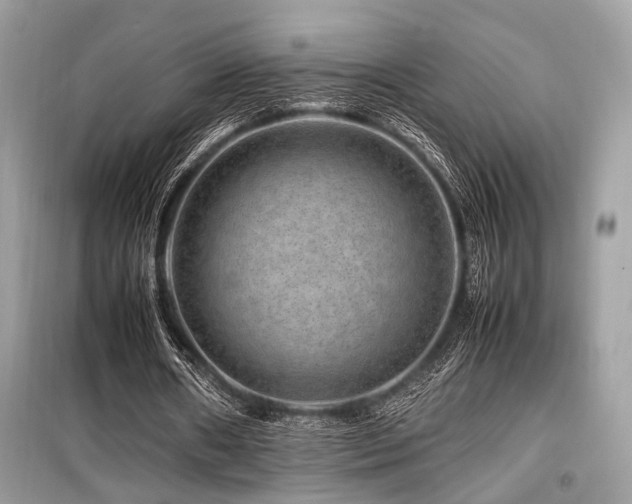 X0000099570482200805161520